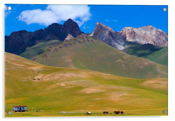 Kyrgyzstan. Mountain landscape with herd of horses and mobile ho Acrylic by Tartalja 