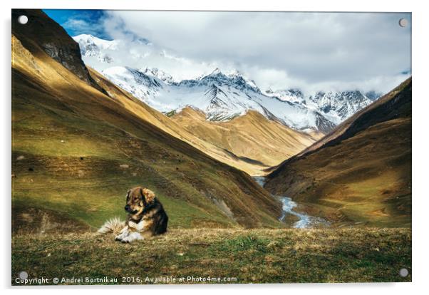 Dog against Enguri river and Shkhara mountain. Geo Acrylic by Andrei Bortnikau