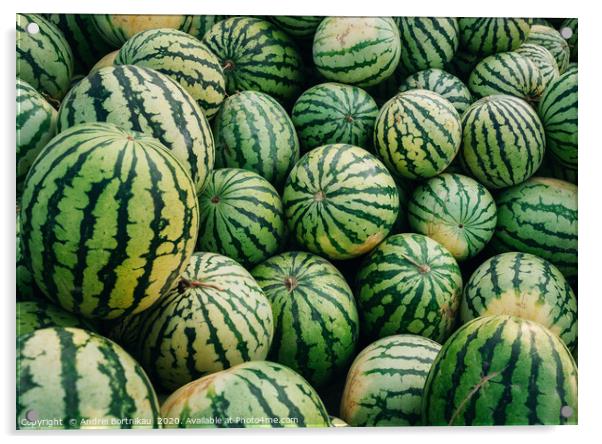 Green watermelons with black stripes Acrylic by Andrei Bortnikau