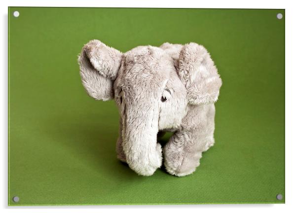 Plush elephant Acrylic by Igor Krylov