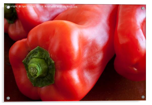 Red pepper Acrylic by Igor Krylov