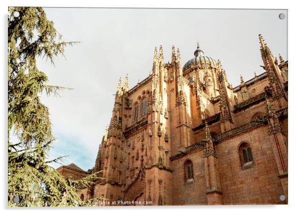 Cathedral of Salamanca Acrylic by Igor Krylov
