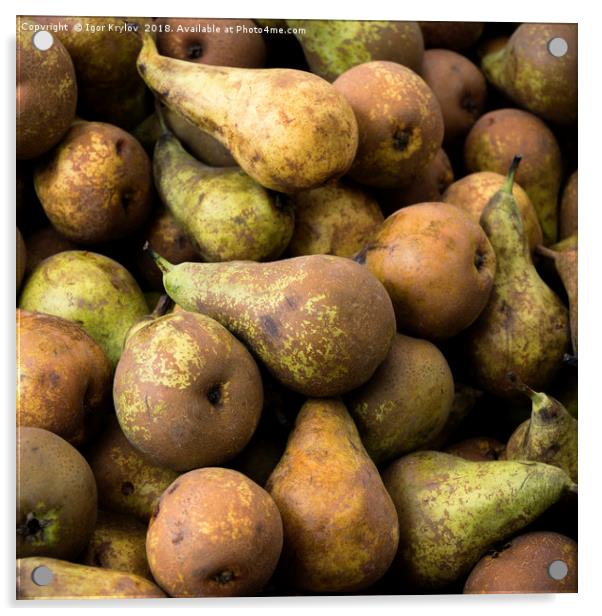 Pears  Acrylic by Igor Krylov