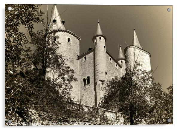 Castle Alcazar de Segovia Acrylic by Igor Krylov