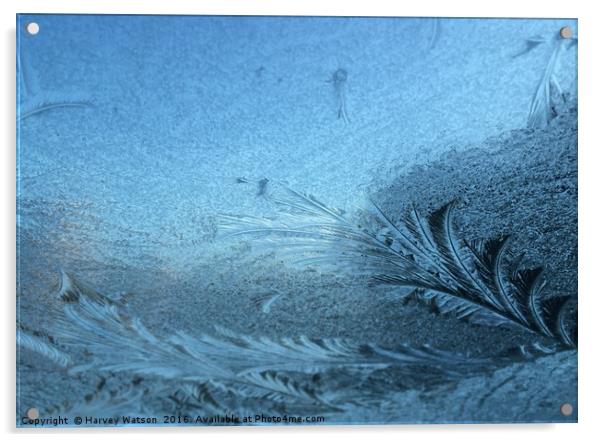 Frosty pattern  Acrylic by Harvey Watson