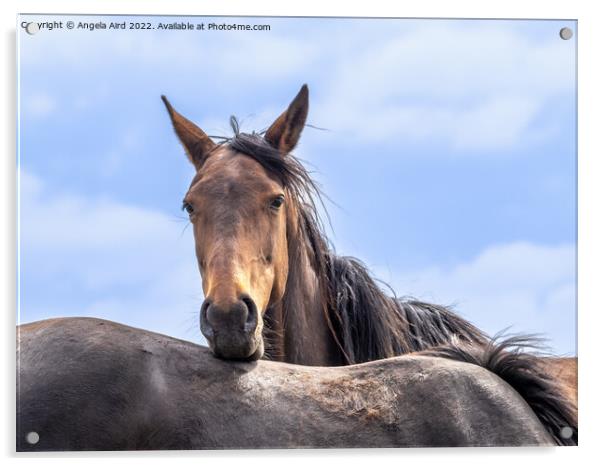 Handsome Boy. Acrylic by Angela Aird