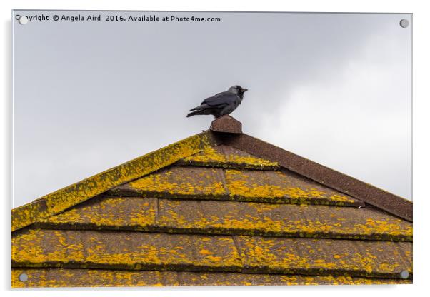 Up on the Roof Acrylic by Angela Aird