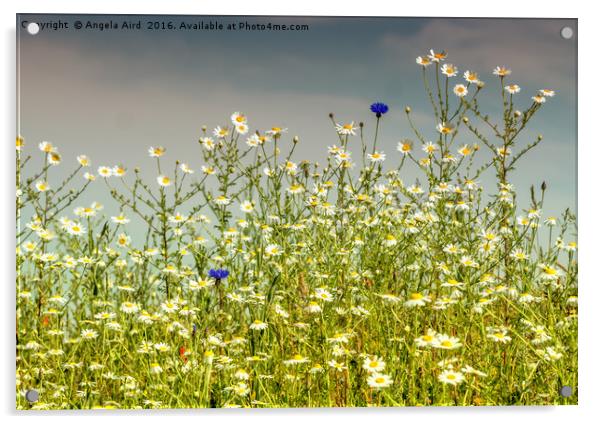 Wildflower Acrylic by Angela Aird