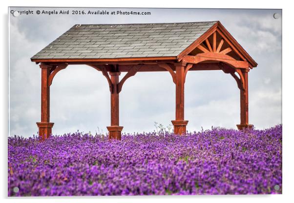 Lavender Farm Acrylic by Angela Aird