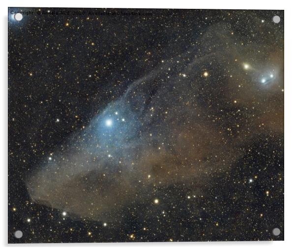 blue horsehead nebula, astrophotography, dso, spac Acrylic by Angela Aird