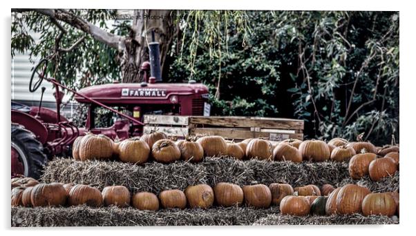 Pumpkin Harvest. Acrylic by Angela Aird