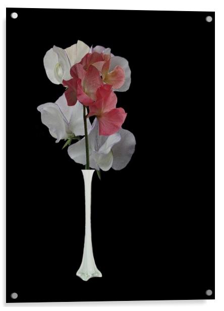 Vase of flowers Acrylic by Henry Horton