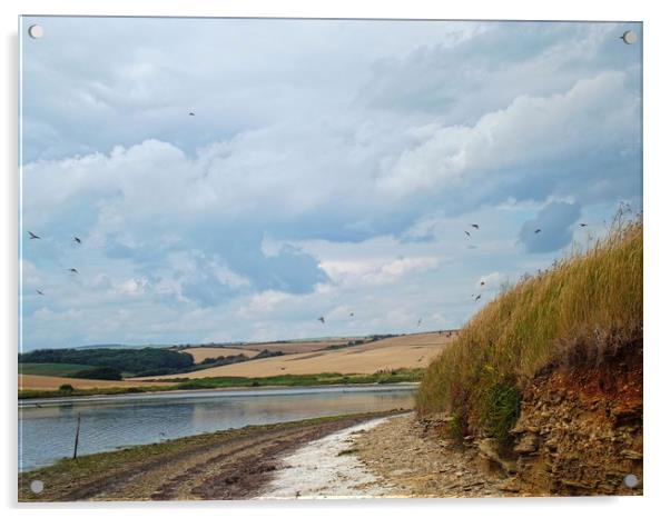 Swallows In Summer Acrylic by Henry Horton