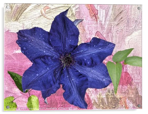 First Clematis Acrylic by Henry Horton