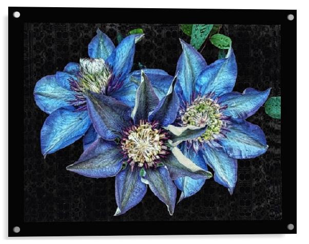 Trio of clematis Acrylic by Henry Horton