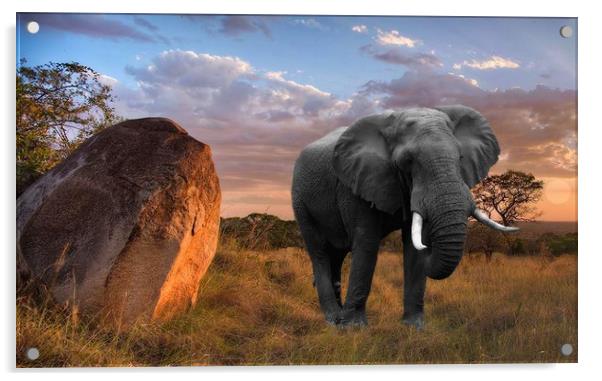 Serengeti Sundown Acrylic by Henry Horton