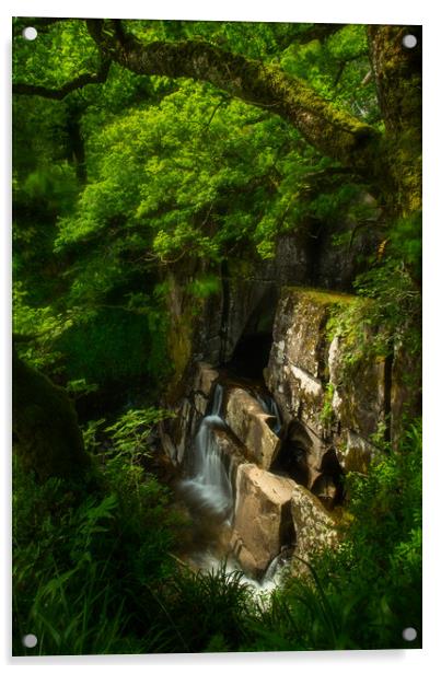Bracklinn Falls Acrylic by Samuel Kerr