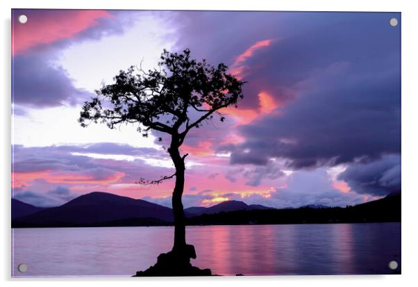 Lone Tree Sunset 2 Acrylic by Samuel Kerr