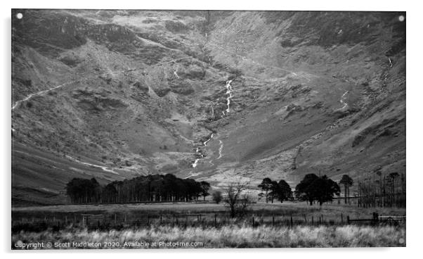 Buttermere Trees Acrylic by Scott Middleton