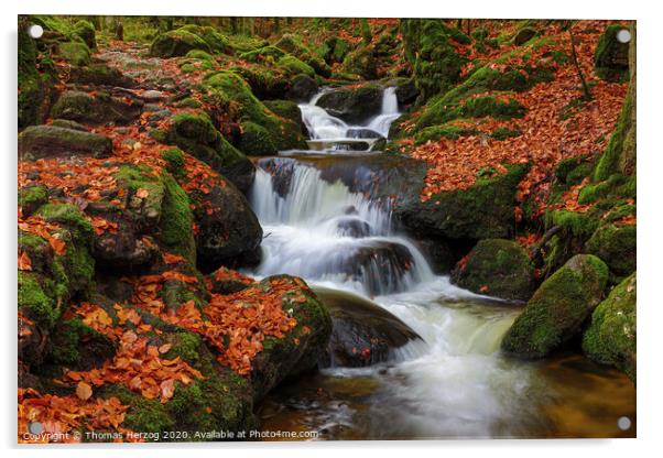 German Black Forest brook Acrylic by Thomas Herzog