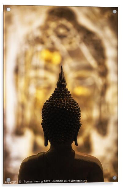 Face to face with Buddha Acrylic by Thomas Herzog