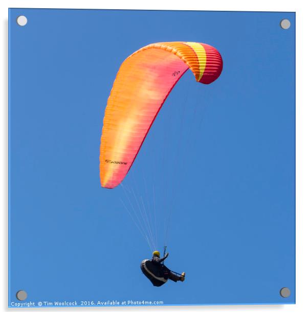 Paraglider enjoying the beautiful weather  Acrylic by Tim Woolcock