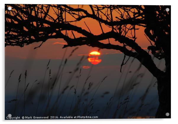 Tranquil Sunset Silhouette Acrylic by Mark Greenwood