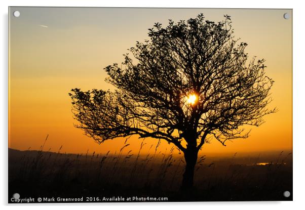 Tranquil Hazy Sunset Acrylic by Mark Greenwood