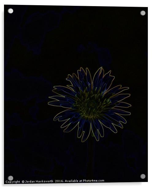 Glowing Dandelion  Acrylic by Jordan Hawksworth