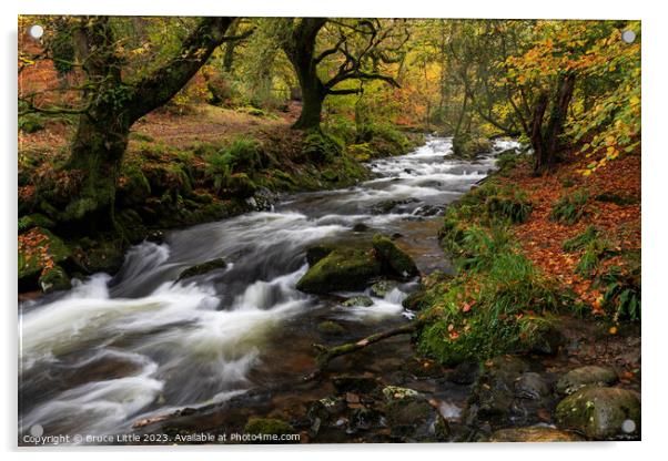 Dartmoor River in Autumn Acrylic by Bruce Little