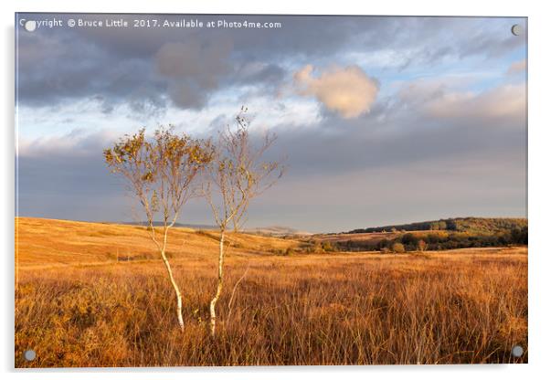 Serene Woodbury Common landscape Acrylic by Bruce Little