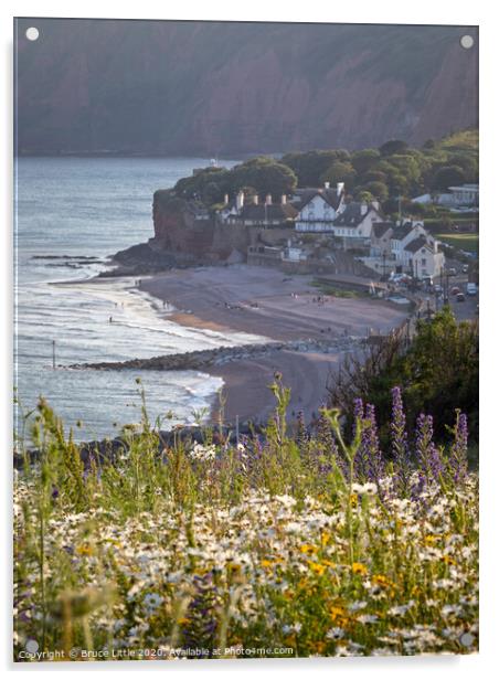 Sidmouth Summertime Acrylic by Bruce Little
