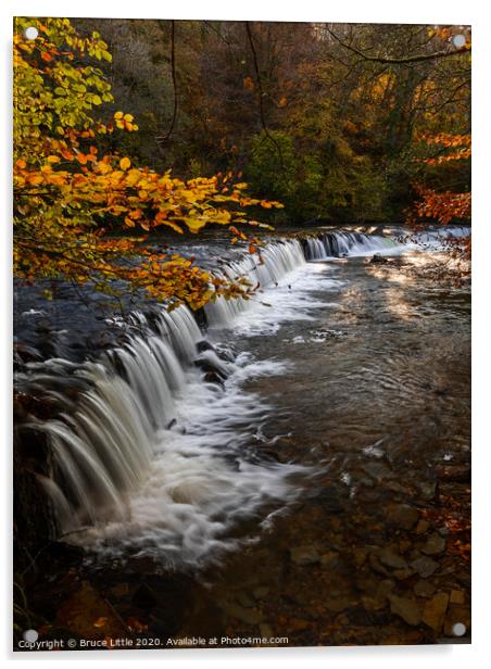 Autumnal Weir Acrylic by Bruce Little