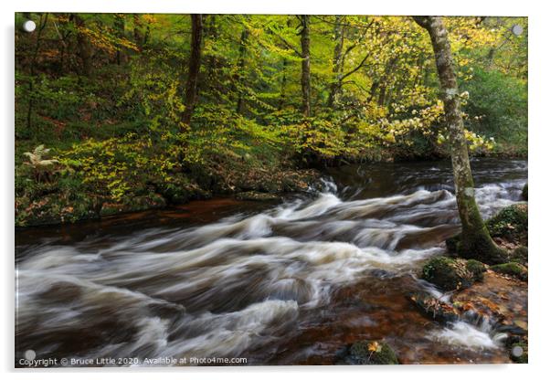 River Teign Rapids Acrylic by Bruce Little