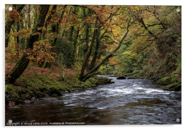 Autumnal River Dart Acrylic by Bruce Little