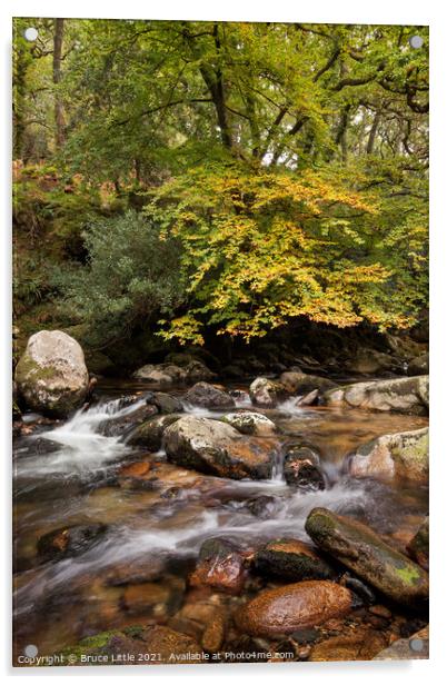 Serene Autumnal River in Dewerstone Woods Acrylic by Bruce Little