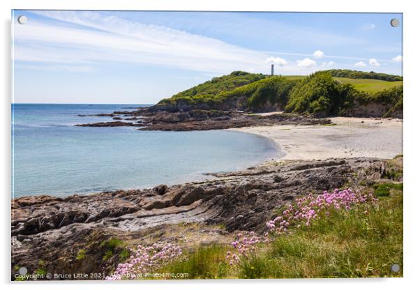 Gribbin Head from Polridmouth Acrylic by Bruce Little