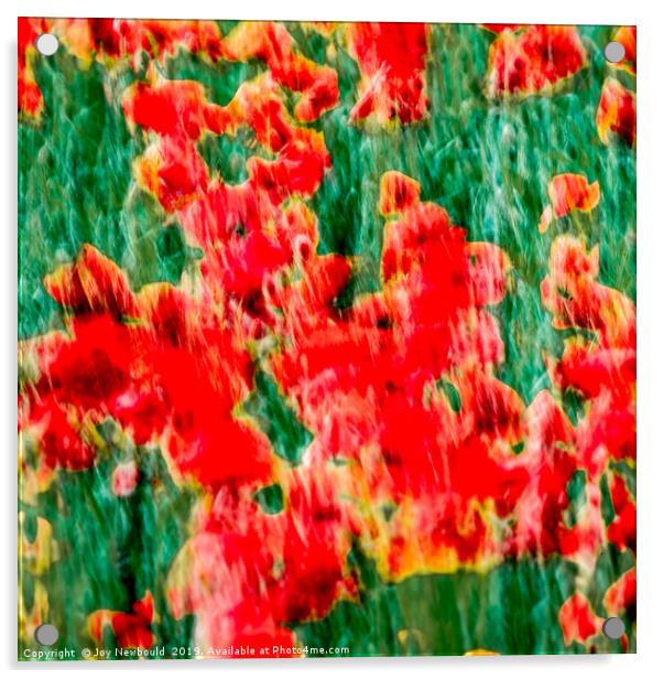 Poppies - Digital Art  Acrylic by Joy Newbould