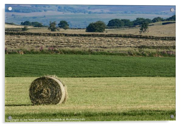 Hay Bale Acrylic by Joy Newbould