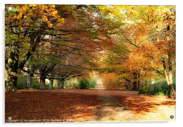 Autumn Colours  Acrylic by Joy Newbould