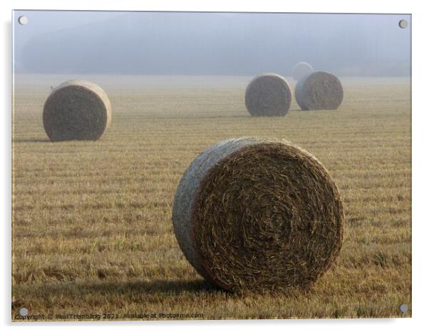 Hay bales in a misty field Acrylic by Paul Trembling