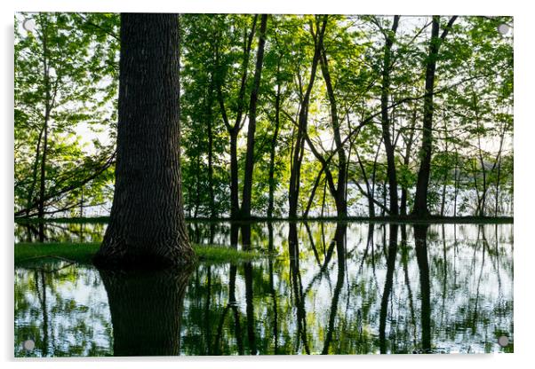 Lake Nokomis In A Wet Spring Acrylic by Jim Hughes