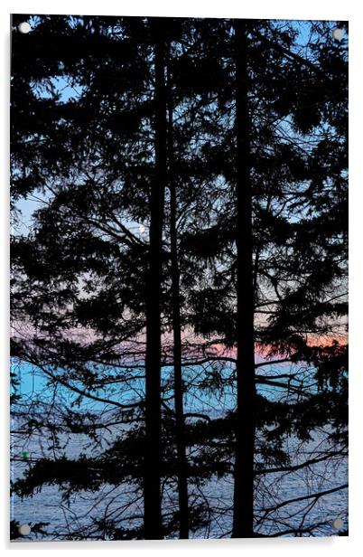The Maine Coast Acrylic by Jim Hughes