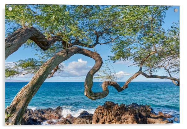 Koa Tree on Maui Acrylic by Jim Hughes