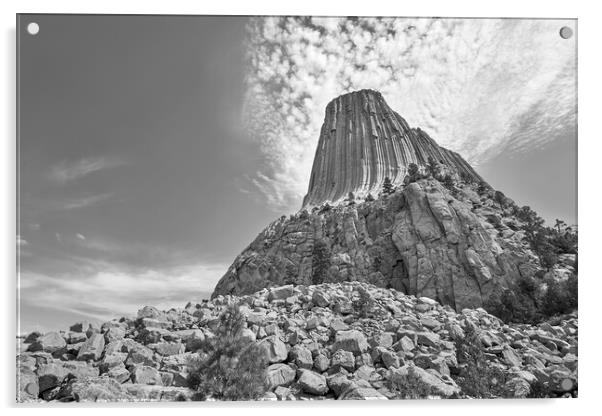 Devil's Tower, Wyoming, black and white Acrylic by Jim Hughes