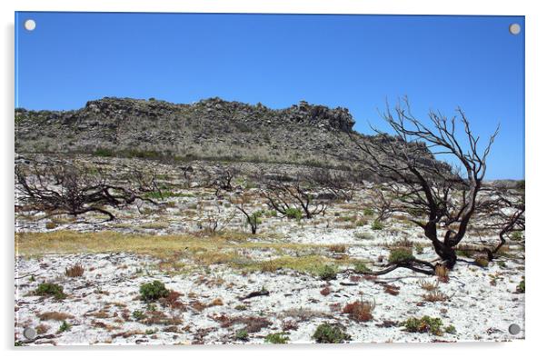 Barren land, desolation Acrylic by Riaan Swanepoel