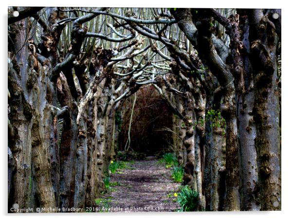 Woodland Path Acrylic by Michelle Bradbury