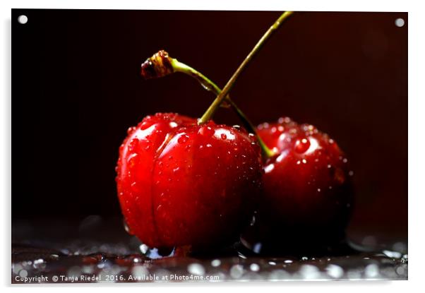 Cherries Love Acrylic by Tanja Riedel