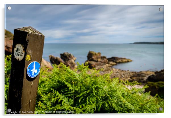 Moray Coastal Path Acrylic by Joe Dailly