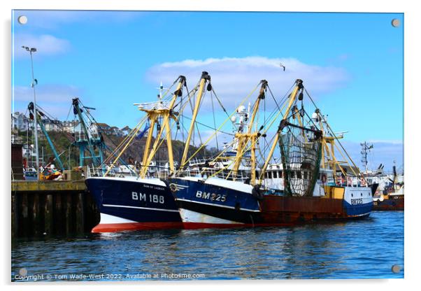 Brixham Fishing Boats Acrylic by Tom Wade-West